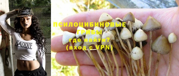 бошки Карталы