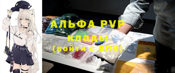 дмт Новокубанск