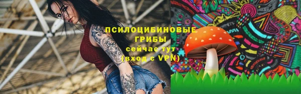 PSILOCYBIN Ханты-Мансийск